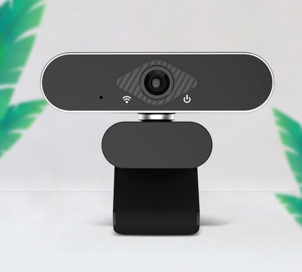 Webcam with microphone