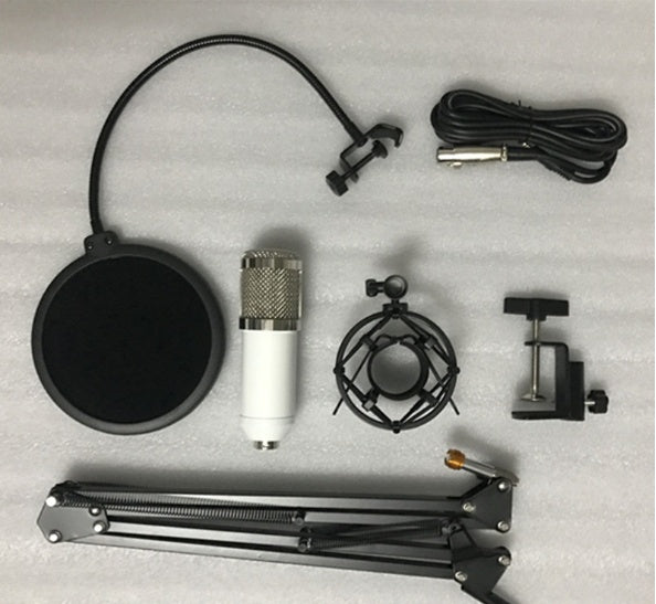 BM800 microphone set