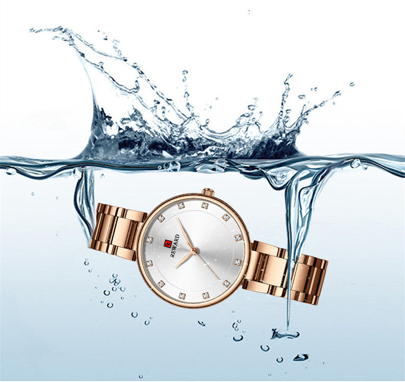 Ladies Waterproof Quartz Steel Band Watch