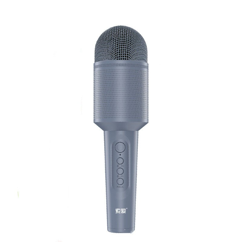 Audio Integrated Microphone Karaoke Wireless Bluetooth