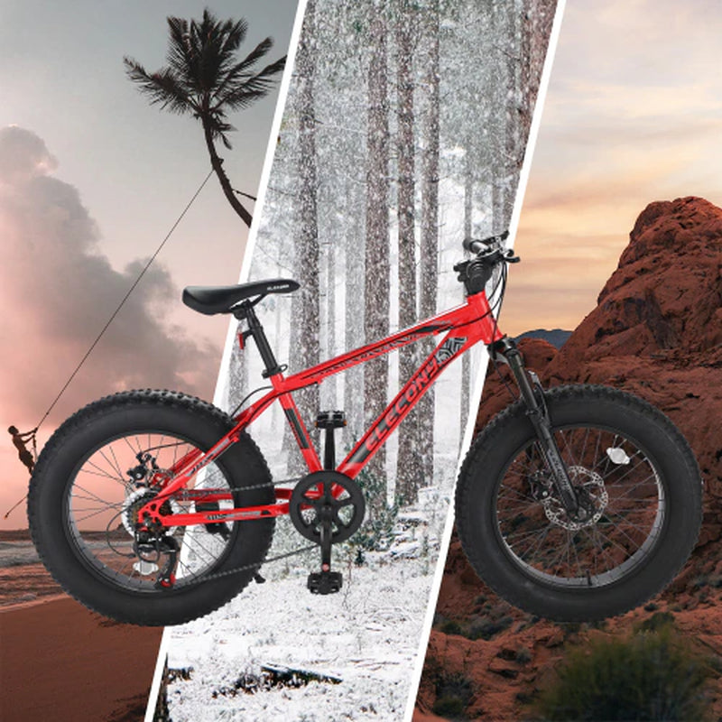 US Warehouse 20 Inch Fat Tires 7 Speed Mountain Bike Dual Disc Brake Commuter Urban Mountain Bike