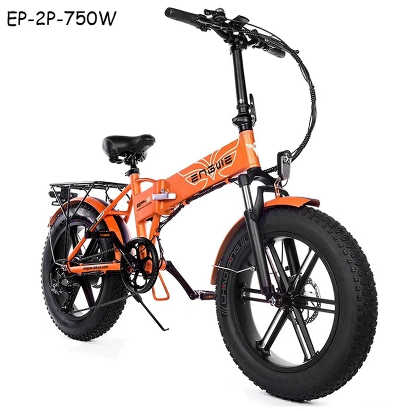 (DDP EU Shipping) Electric Bike 48V12.8AH 20*4.0 Fat Tire Bike 750W Powerful Motor Electric Bicycle 45KM/H Mountain/Snow Ebike