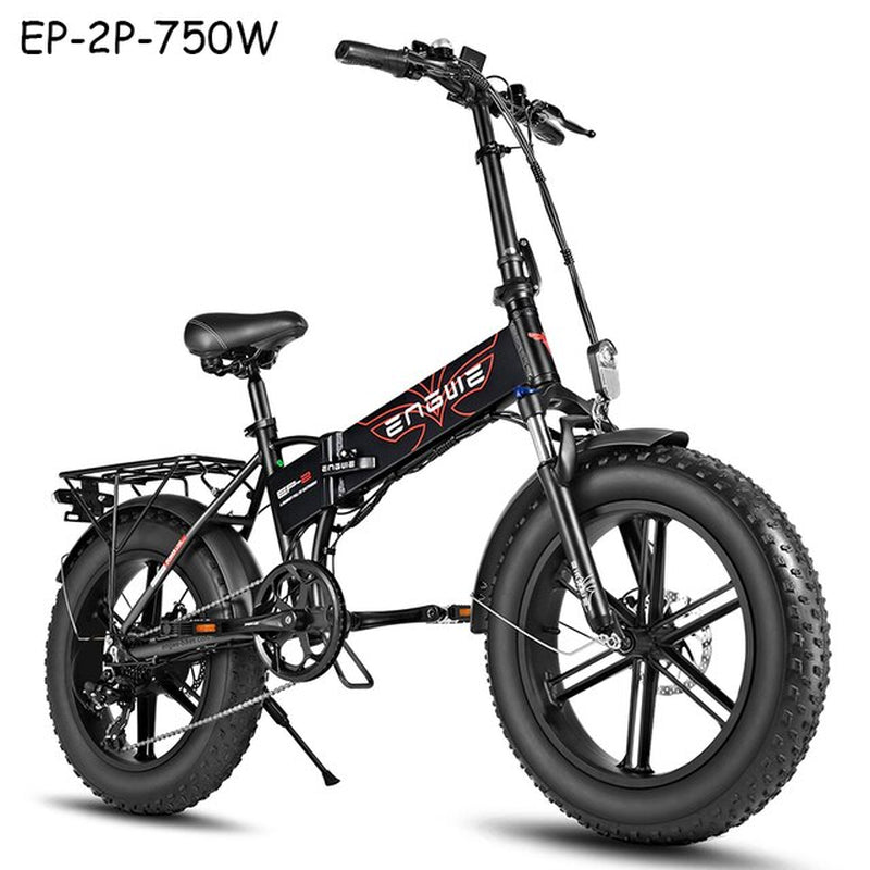 (DDP EU Shipping) Electric Bike 48V12.8AH 20*4.0 Fat Tire Bike 750W Powerful Motor Electric Bicycle 45KM/H Mountain/Snow Ebike