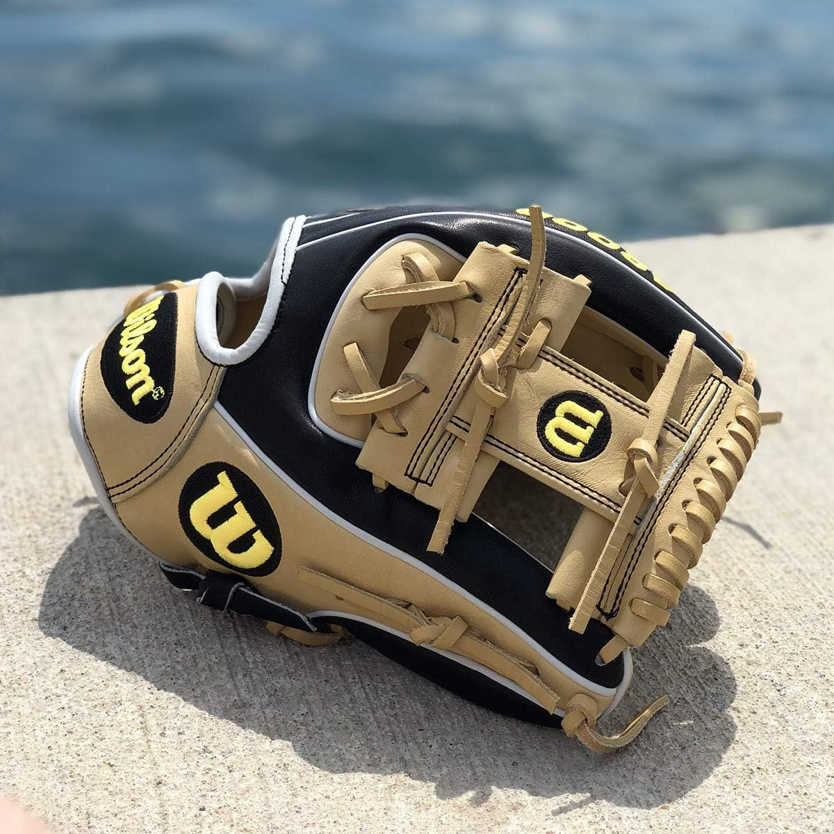 A2000 Baseball Glove Series