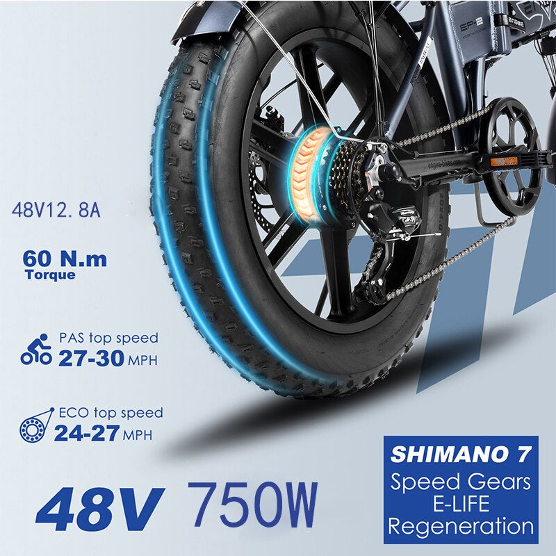 (DDP EU Shipping) Electric Bike 48V12.8AH 20*4.0 Fat Tire Bike 750W Powerful Motor Electric Bicycle 45KM/H Mountain/Snow Ebike