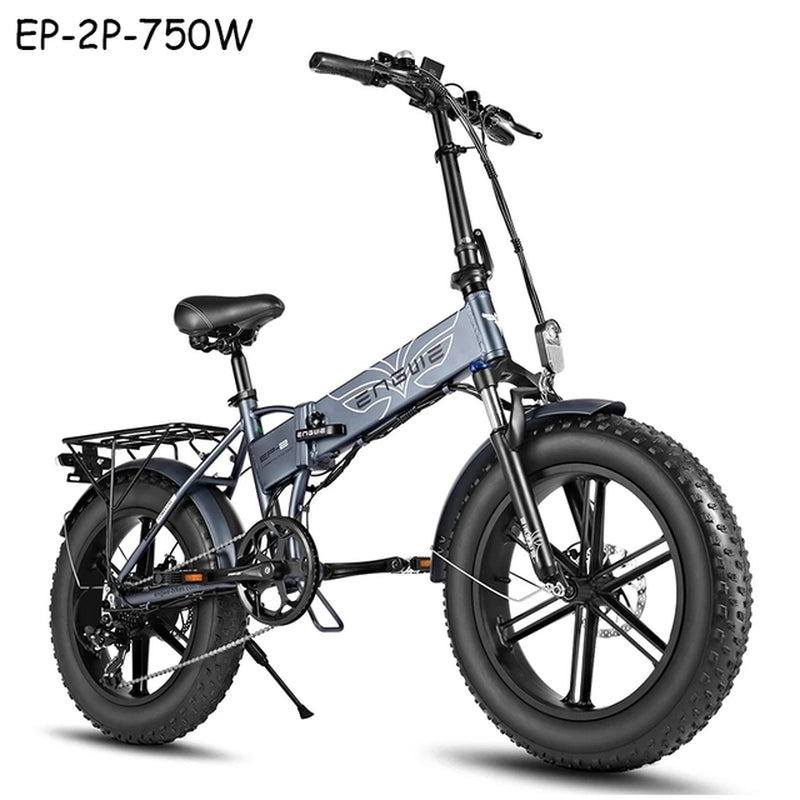 (DDP EU Shipping) Electric Bike 48V12.8AH 20*4.0 Fat Tire Bike 750W Powerful Motor Electric Bicycle 45KM/H Mountain/Snow Ebike